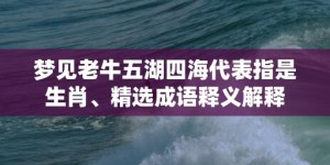 梦见老牛五湖四海代表指是生肖、精选成语释义解释