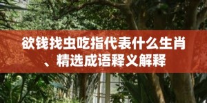 欲钱找虫吃指代表什么生肖、精选成语释义解释