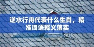 逆水行舟代表什么生肖，精准词语释义落实