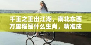 千王之王出江湖，南北东西万里程是什么生肖，精准成语释义落实