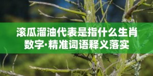 滚瓜溜油代表是指什么生肖数字·精准词语释义落实