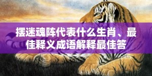 摆迷魂阵代表什么生肖、最佳释义成语解释最佳答