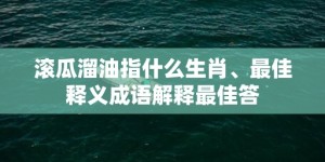 滚瓜溜油指什么生肖、最佳释义成语解释最佳答