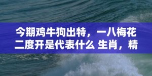 今期鸡牛狗出特，一八梅花二度开是代表什么 生肖，精准落实词语释义