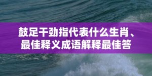 鼓足干劲指代表什么生肖、最佳释义成语解释最佳答