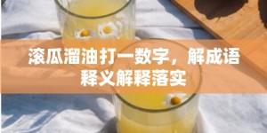 滚瓜溜油打一数字，解成语释义解释落实