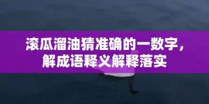 滚瓜溜油猜准确的一数字，解成语释义解释落实