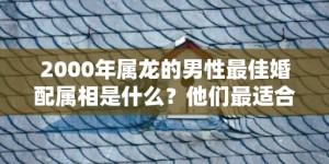 2000年属龙的男性最佳婚配属相是什么？他们最适合与哪个属相的人结婚？