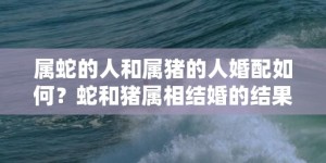 属蛇的人和属猪的人婚配如何？蛇和猪属相结婚的结果会怎样？