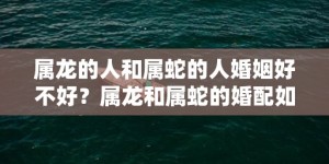 属龙的人和属蛇的人婚姻好不好？属龙和属蛇的婚配如何？