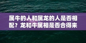 属牛的人和属龙的人是否相配？龙和牛属相是否合得来？