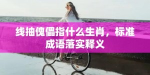 线抽傀儡指什么生肖，标准成语落实释义