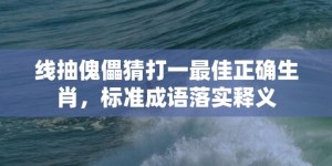 线抽傀儡猜打一最佳正确生肖，标准成语落实释义