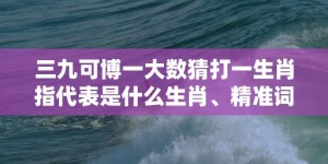 三九可博一大数猜打一生肖指代表是什么生肖、精准词语释义落实