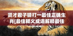 贤才君子猜打一最佳正确生肖[最佳释义成语解释最佳答]