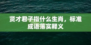 贤才君子指什么生肖，标准成语落实释义