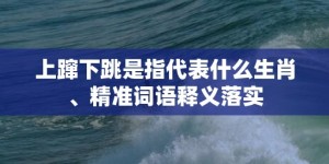 上蹿下跳是指代表什么生肖、精准词语释义落实