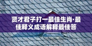 贤才君子打一最佳生肖·最佳释义成语解释最佳答