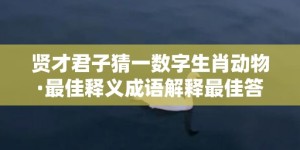 贤才君子猜一数字生肖动物·最佳释义成语解释最佳答