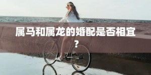 属马和属龙的婚配是否相宜？