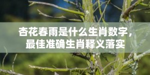 杏花春雨是什么生肖数字，最佳准确生肖释义落实