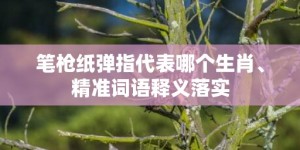 笔枪纸弹指代表哪个生肖、精准词语释义落实