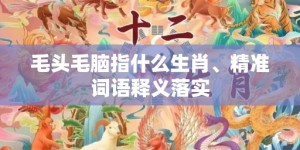 毛头毛脑指什么生肖、精准词语释义落实