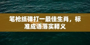 笔枪纸弹打一最佳生肖，标准成语落实释义