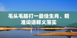 毛头毛脑打一最佳生肖、精准词语释义落实