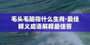 毛头毛脑指什么生肖·最佳释义成语解释最佳答