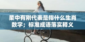 柔中有刚代表是指什么生肖数字；标准成语落实释义