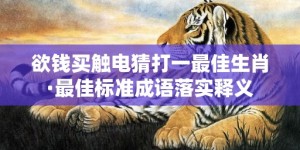 欲钱买触电猜打一最佳生肖·最佳标准成语落实释义