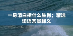 一身清白指什么生肖；精选词语答案释义