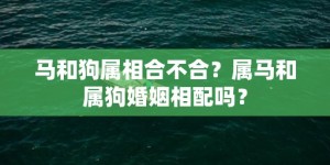 马和狗属相合不合？属马和属狗婚姻相配吗？