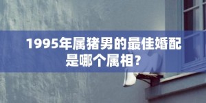 1995年属猪男的最佳婚配是哪个属相？