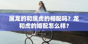 属龙的和属虎的相配吗？龙和虎的婚配怎么样？