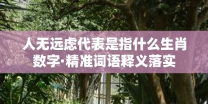 人无远虑代表是指什么生肖数字·精准词语释义落实