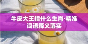 牛皮大王指什么生肖·精准词语释义落实