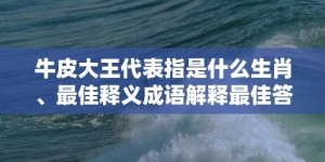 牛皮大王代表指是什么生肖、最佳释义成语解释最佳答