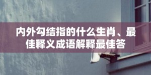 内外勾结指的什么生肖、最佳释义成语解释最佳答