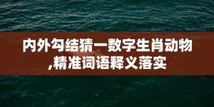 内外勾结猜一数字生肖动物,精准词语释义落实