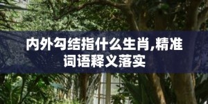 内外勾结指什么生肖,精准词语释义落实