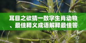 耳目之欲猜一数字生肖动物、最佳释义成语解释最佳答