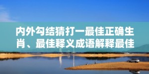 内外勾结猜打一最佳正确生肖、最佳释义成语解释最佳答