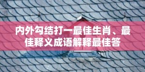 内外勾结打一最佳生肖、最佳释义成语解释最佳答