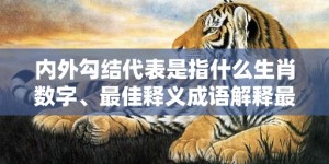 内外勾结代表是指什么生肖数字、最佳释义成语解释最佳答