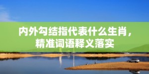 内外勾结指代表什么生肖，精准词语释义落实