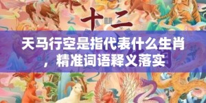 天马行空是指代表什么生肖，精准词语释义落实