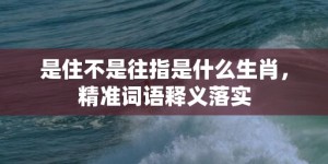 是住不是往指是什么生肖，精准词语释义落实