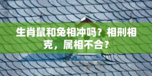 生肖鼠和兔相冲吗？相刑相克，属相不合？